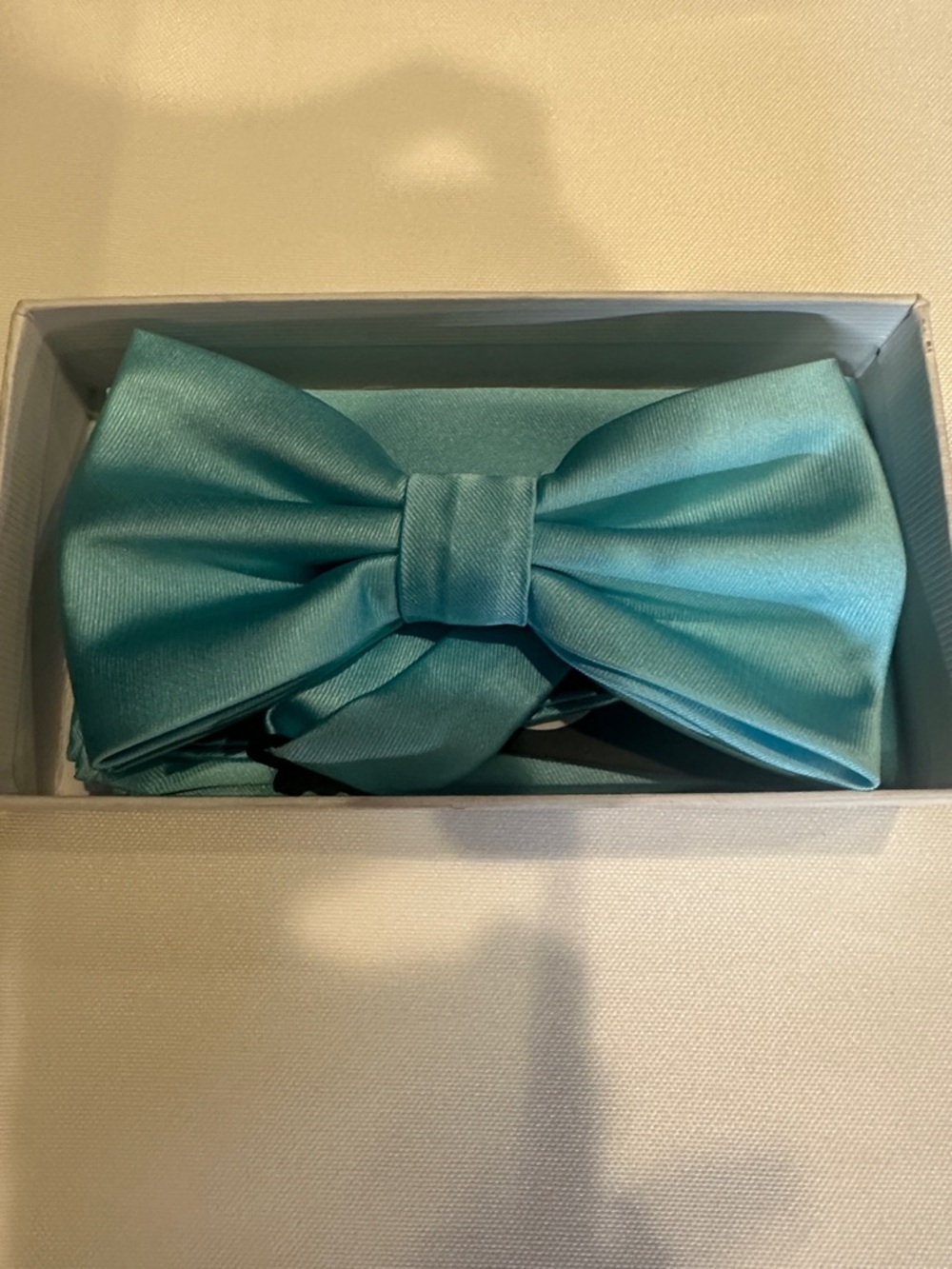 Wedding Party! Satin Bow Ties/With Hankies/ Aqua